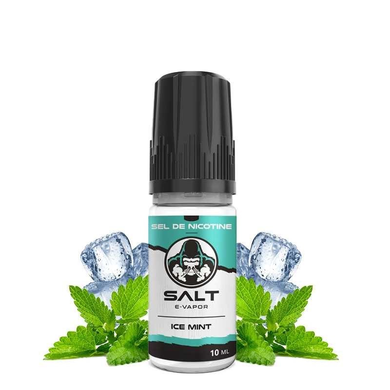 SALT - Ice Mint - 10ml