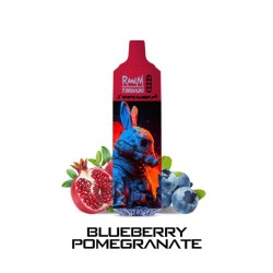 9000 PUFFS / Blueberry Pomegranate  tornado